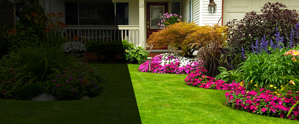 Mount Sterling Landscapers
