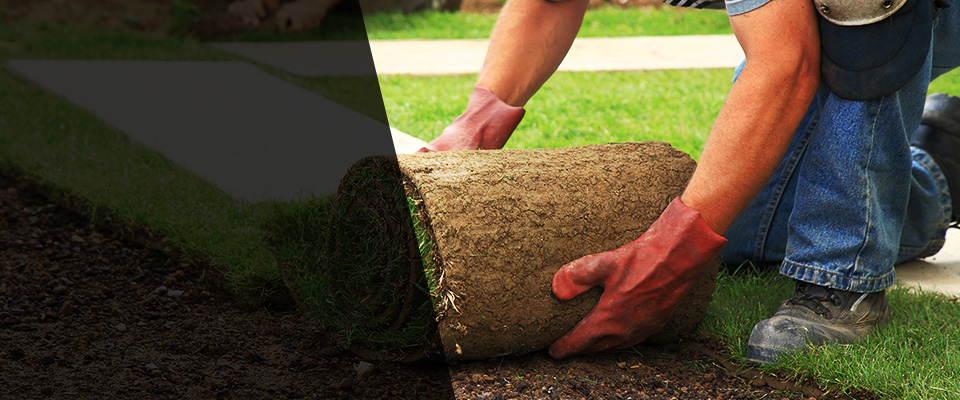 Mount Sterling Landscapers